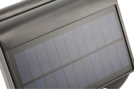 RAMOS noir détail