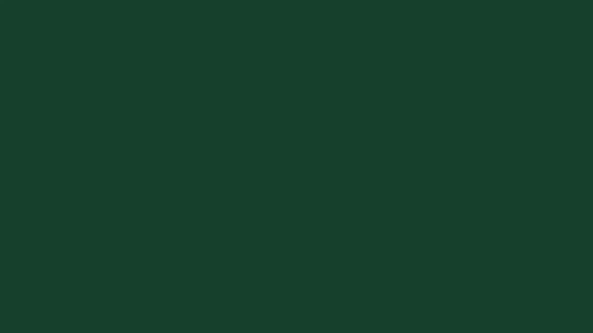 Vert Sapin U606 ST9
